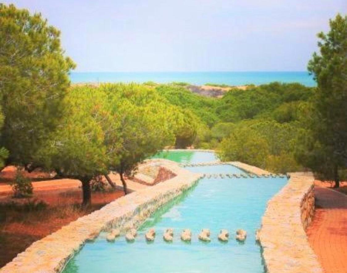 Apartment With Pool & Balcony Less Than 10Min Walk To La Mata Beach! Torrevieja Exterior photo